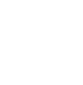 NEN Certificate