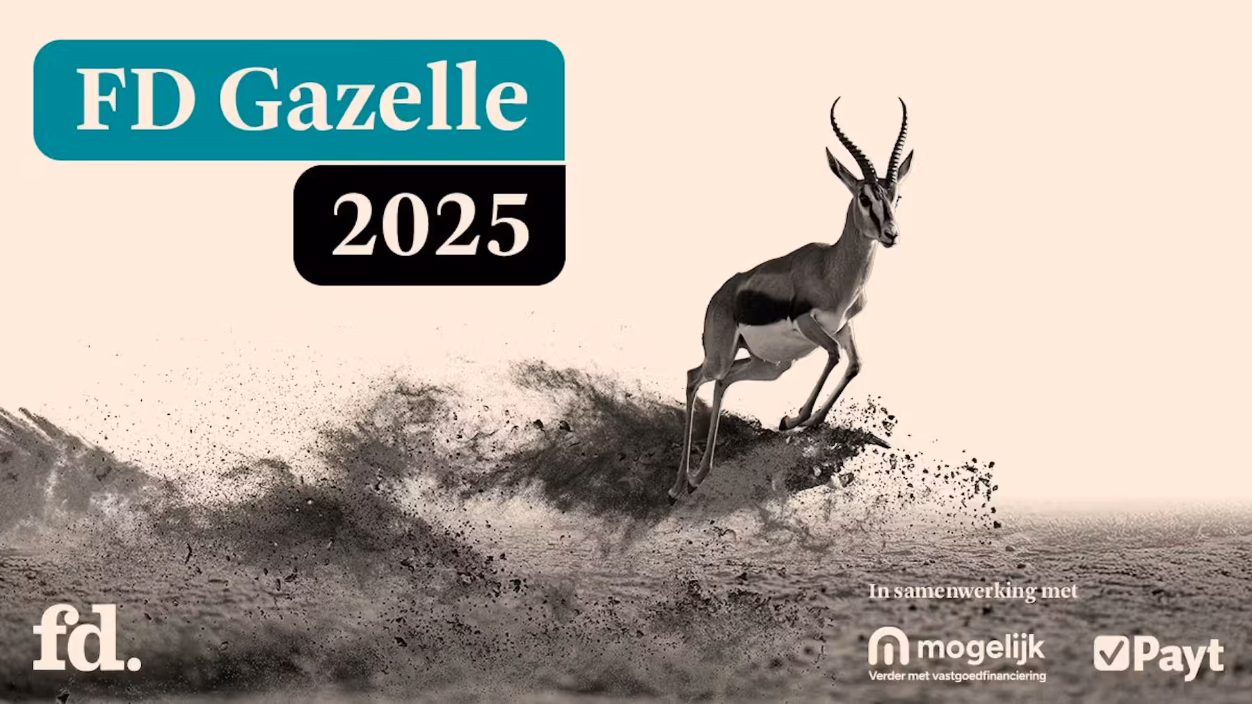 fd-gazelle